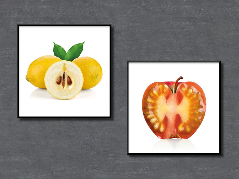 Posters - Mixfruits